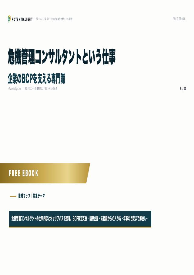危機管理コンサルタントという仕事 eBook表紙