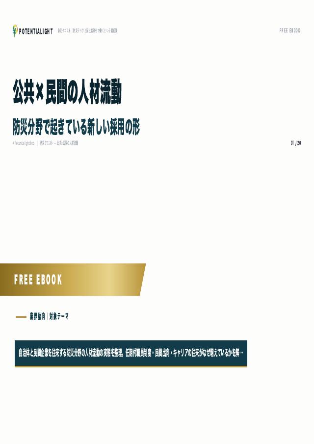 公共×民間の人材流動 eBook表紙